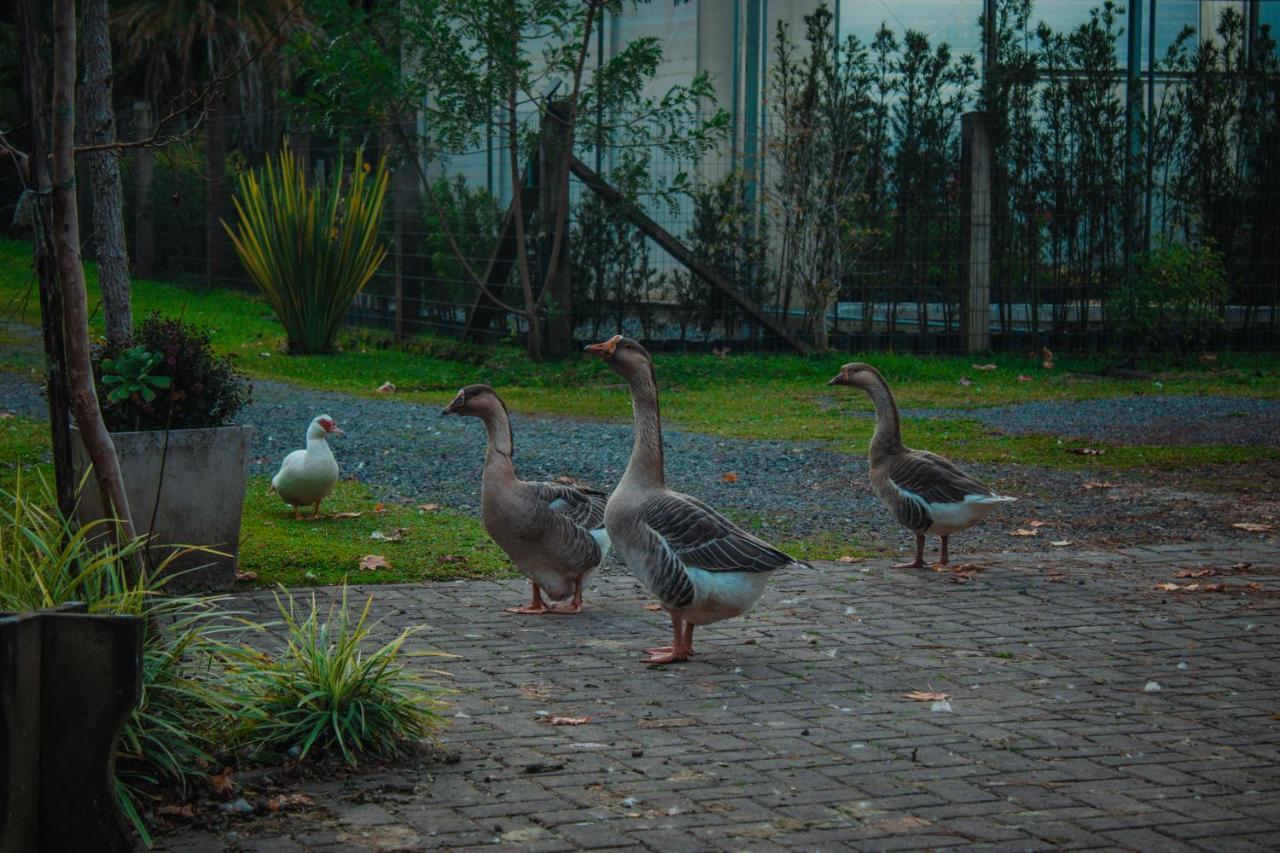 Gramado Motorpark Villa Exterior foto